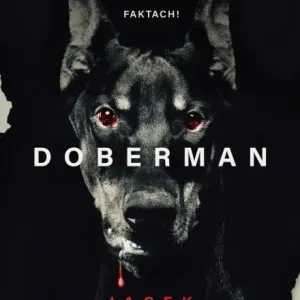 Kup teraz Doberman