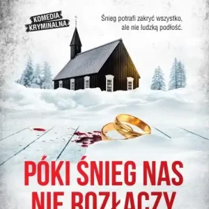 Bezpieczna płatność Póki śnieg nas nie rozłączy