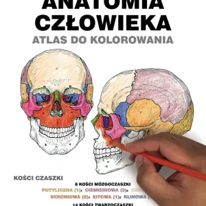 Anatomia człowieka. Atlas do kolorowania Darmowy zwrot