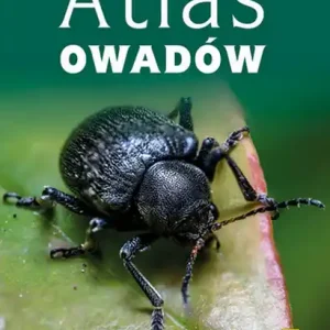Atlas owadów w5 Bezpieczne zakupy