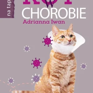 Kot w chorobie Cena promocyjna