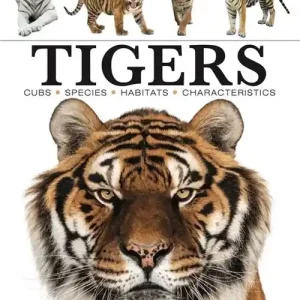 Tigers Obniżka ceny