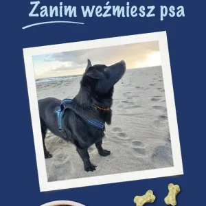 Zanim weźmiesz psa Darmowy zwrot