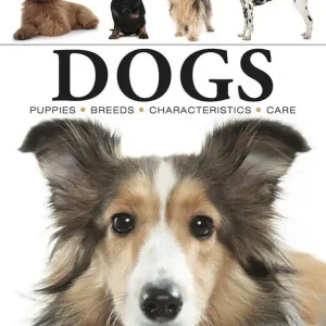 Tylko do końca tygodnia Dogs wer. angielska