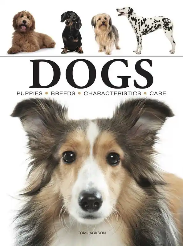 Tylko do końca tygodnia Dogs wer. angielska