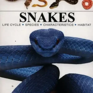 Wysoka jakość Snakes