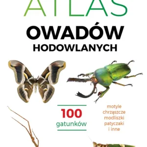 Atlas owadów hodowlanych. 100 gatunków Zamów dziś