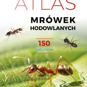 Atlas mrówek hodowlanych. 150 gatunków Obniżka ceny