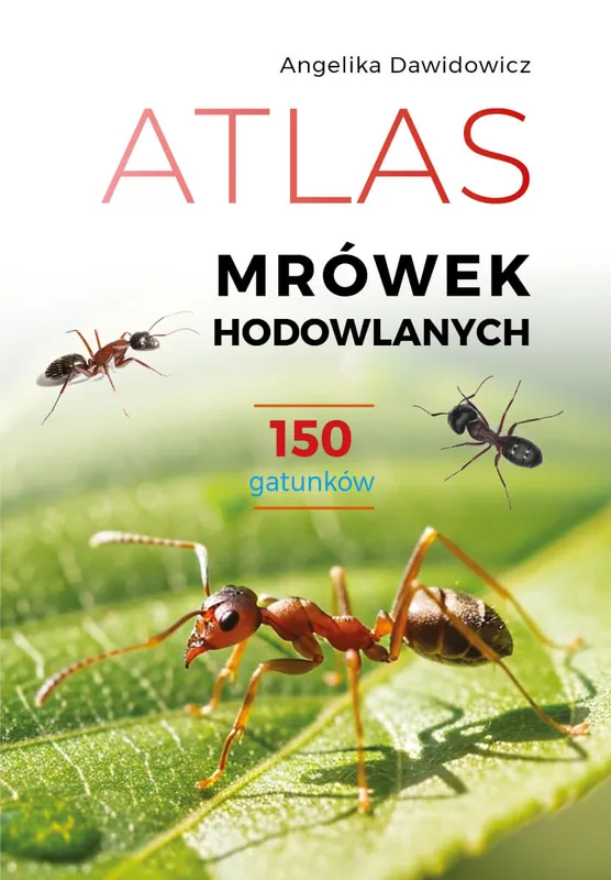 Atlas mrówek hodowlanych. 150 gatunków Obniżka ceny