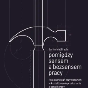 Pomiędzy sensem a bezsensem pracy. Rola zachowań przywódczych w kształtowaniu przekonania o sensie pracy Dodaj do koszyka