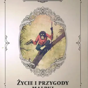 Super okazja Życie i przygody małpki