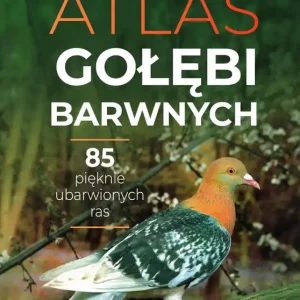 Atlas gołębi barwnych Najlepsza cena