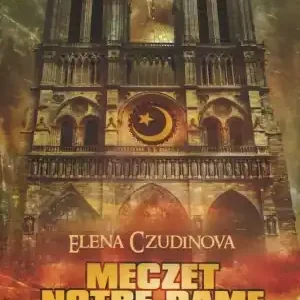 Szybka dostawa Meczet Notre Dame. Rok 2048